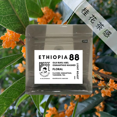 Ethiopia | Guji Buku Abel | Osmanthus Washed Process | Coffee Bean