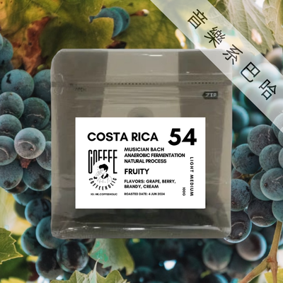 Costa Rica | Carnet | Musician Bach | Anaerobic Fermentation Process | Coffee Bean