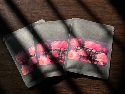 Flower Farewell Drip Bag (Light)