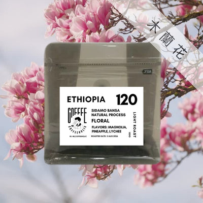 Ethiopia | Sidamo Bensa | G1 Natural | 74158 Coffee Bean
