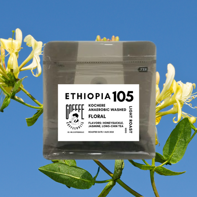 Ethiopia | Kochere | Anaerobic Washed Process | Coffee Bean